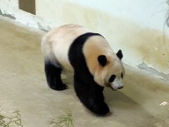 -杭州动物园