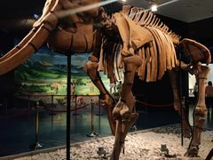 -小街天府(西工小街店)