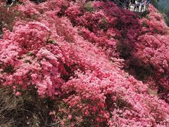 -木兰云雾山