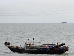 -宝安西湾红树林湿地公园