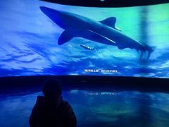 -同济大学四平路校区深海探索馆