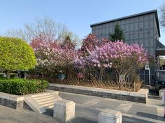 -郭记小街麻辣烫(南小街总店)