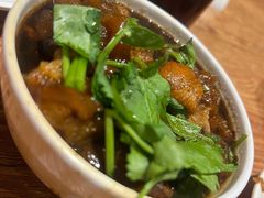 -清真吴记门钉肉饼·喜多利