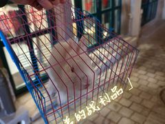 -上街里市集(悦喜客来广场店)