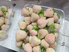 -登州市场(登州路店)