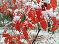 -庆岭迎宾园正宗活鱼馆