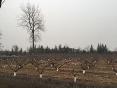 -习仲勋故居