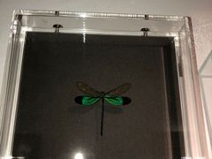 -剪刀石头布家居广场