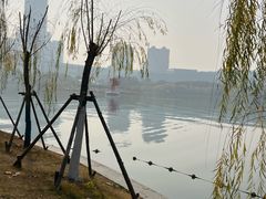 -天鹅湖体育公园