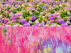 -歌斐颂巧克力小镇