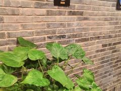-鸭匠食府·挂炉烤鸭·新京菜(阜成路店)