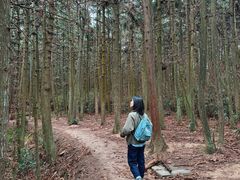 -大罗山风景区