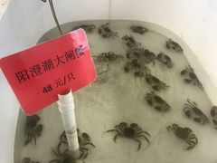 -莆鑫海鲜城(浏河店)