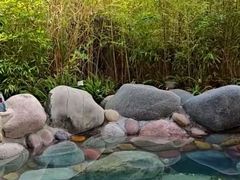 -地中海传奇水汇