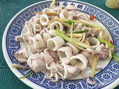 白灼鱿鱼-桂园白粥·潮汕老味道