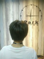 -Park Salon脏辫羽毛接发