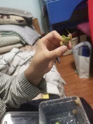 -安吉拉青春化管理中心