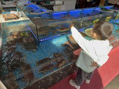 -上海浦南农副产品批发市场