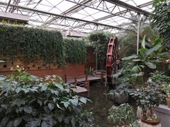 -金稼园·金平湖农家菜