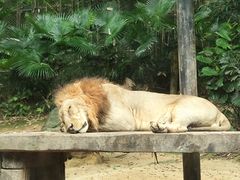 -广州长隆野生动物世界
