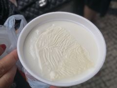 双皮奶-义顺牛奶公司(新马路老店)