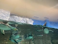 -成都浩海立方海洋公园