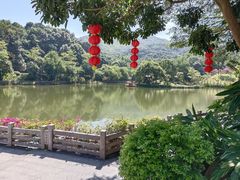 -广州市帽峰山景区