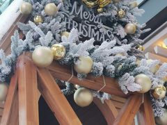 -宝藏绿洲(万象前海店)