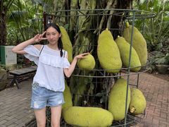 -呀诺达热带雨林