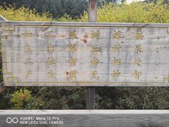 -火吧PTV聚会餐厅(10号店)