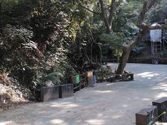 -南丹山森林王国