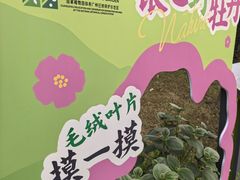 -云溪植物园