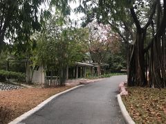 -晓港公园