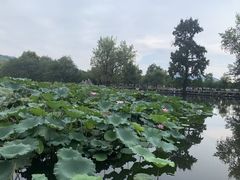 -南湖书院