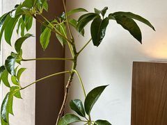 -溯洄咖啡VORTEX COFFEE