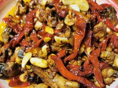 -柴窝堡22号辣子鸡·传承新疆菜