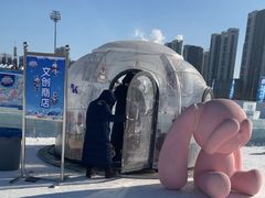 -沈阳奥体冰雪嘉年华
