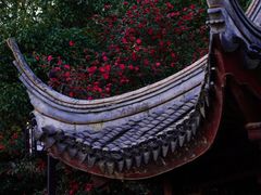 -盘门景区