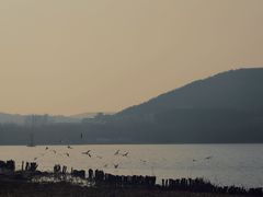 -长广溪湿地公园