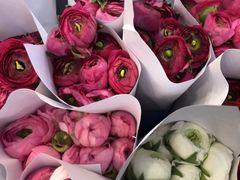 -三圣花乡旅游区