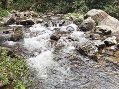 -广州市石门国家森林公园
