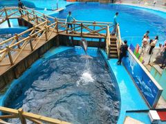-海合安成都极地海洋公园