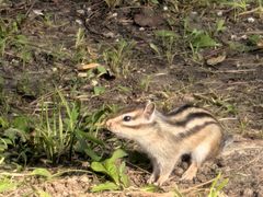 -长春市南湖公园