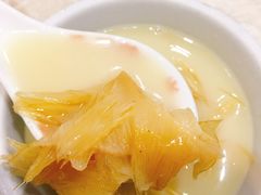 鸡煲中勾翅-凤城礼记鱼翅海鲜酒家(新马路总店)