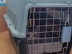 -瑞派长江宠物医院·猫科·外科·24小时夜护(谊城公寓分院)