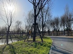 -东郊湿地公园