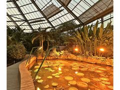 -中国科学院华南植物园