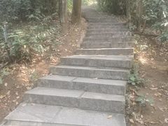 -水濂山森林公园