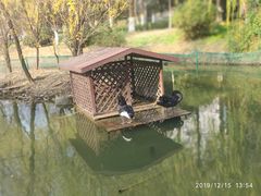 -杭州师范大学(下沙校区)