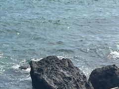 -涠洲岛火山国家地质公园